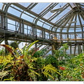 Botanischer DSC 0419