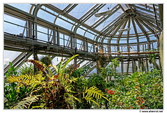 Botanischer DSC 0419