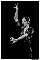 Neige-Scariot DSC 0456 N&B