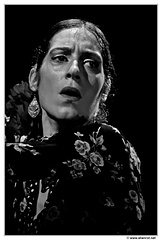 Neige-Scariot DSC 0502 N&B