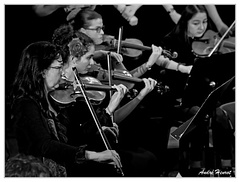 Nathalie-Flamion&Violons DSC 3687 N&B
