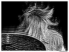 Elvire-Jouve DSC 6782-1 N&B