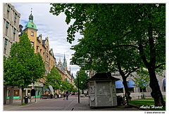 Sundsvall DSC 5607