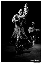 La-Cecilia&amp;Roman-el-Afilao DSC 5448 N&amp;B