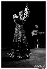 La-Cecilia&amp;Roman-el-Afilao DSC 5449 N&amp;B