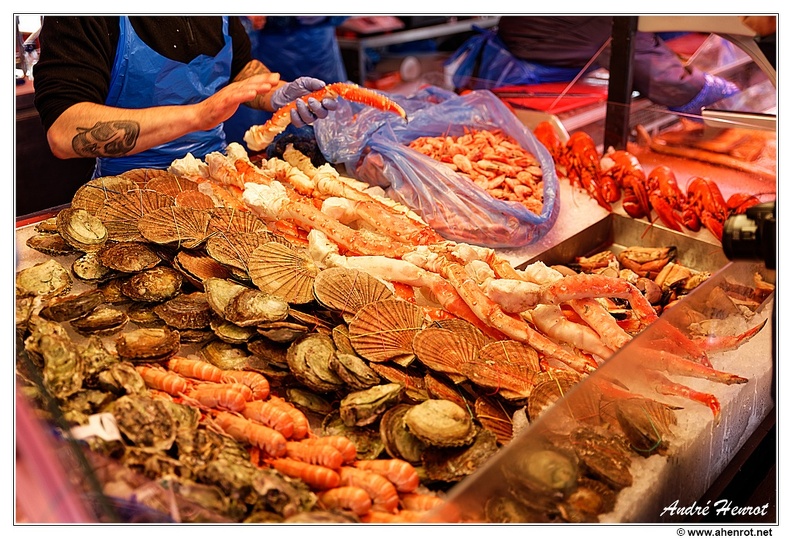 Bergen_Marche-aux-poissons_DSC_3031.jpg