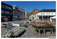 Svolvær DSC 5107
