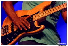 Marcus-Miller DSC 1001