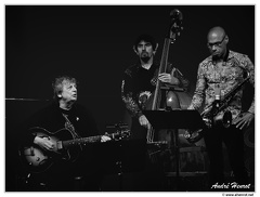 Philip-Catherine&amp;Philippe-Aerts&amp;Joshua-Redman DSC 1677 N&amp;B