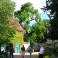 DSCN2140 1200