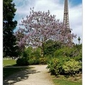 Tour-Eiffel 20170430 112019