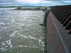 dscn5387 1200