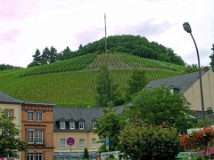 DSCN6167 1200