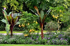 Mainau-Insel 110729 DSC 0364 1200