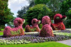 Mainau-Insel 110729 DSC 0388 1200