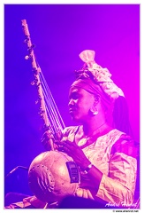 Kogoba-Basigui Red-Desert-Orchestra&amp;Kalajula-Band DSC 4912