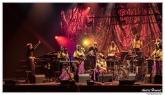 Kogoba-Basigui Red-Desert-Orchestra&amp;Kalajula-Band DSC 5044