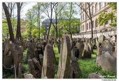 Prague Cimetiere-Juif DSC 0082