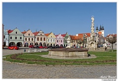 Telc DSC 4807