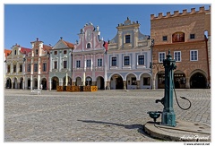 Telc DSC 4810
