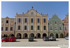 Telc DSC 4815