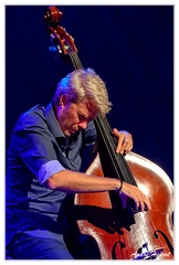 Kyle-Eastwood DSC 0300