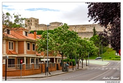 Zamora DSC 0982