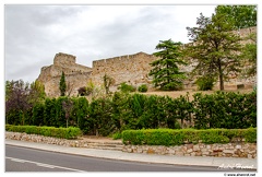 Zamora DSC 0986
