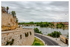 Zamora DSC 0991