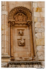 Zamora DSC 0997