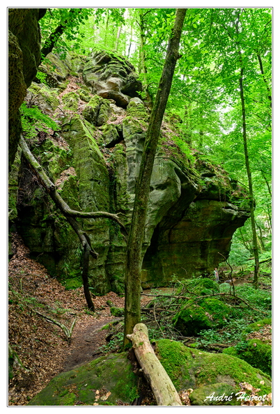Berdorf_Petite-Suisse_DSC_3977.jpg