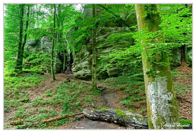 Berdorf_Petite-Suisse_DSC_3993.jpg