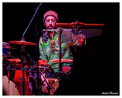 Gustavo-Morales DSC 4391 5x4