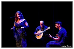 Cristina-Godinho&amp;Joao-Godinho&amp;Paulo-Levi DSC 4010