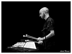 Stephan-Caracci DSC 3102 N&amp;B