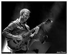 Greg-Lamy DSC 2985