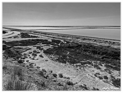 Saint-Gilles-du-Gard Salines IMG 6414 N&amp;B