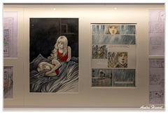 Bruxelles Centre-belge-de-la-Bande-dessinee DSC 3317