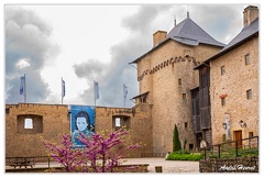 Chateau-de-Malbrouck DSC 8025