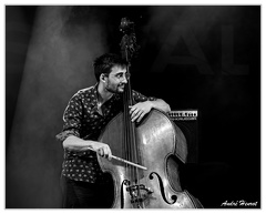 Clement-Daldosso DSC 7650 N&amp;B 5X4