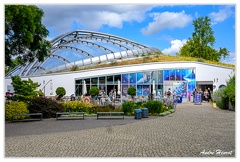 Hanovre-Berggarten DSC 6279