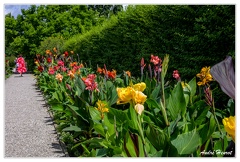 Hanovre-Berggarten DSC 6315