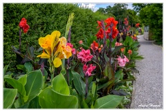 Hanovre-Berggarten DSC 6316