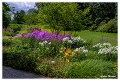 Hanovre-Berggarten DSC 6324