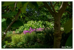 Hanovre-Berggarten DSC 6328