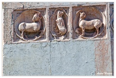 Parme 110819 DSC 0305 1200