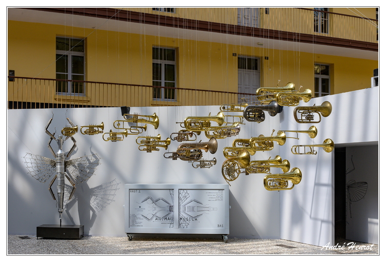 Familistere_Anima-ex-Musica_DSC_2536.jpg