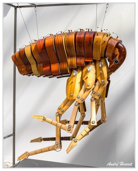 Familistere_Anima-ex-Musica_DSC_2538.jpg