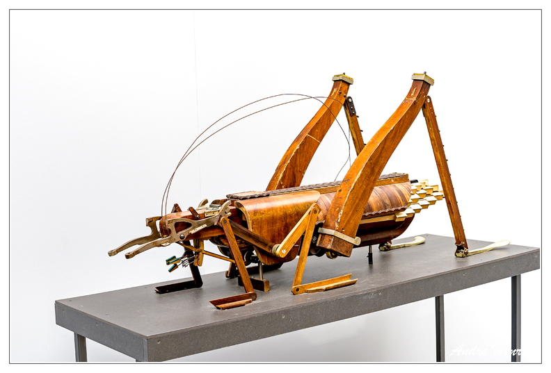 Familistere_Anima-ex-Musica_DSC_2561.jpg