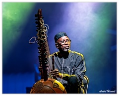 Ballake-Sissoko DSC 9396 5x4